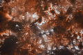 Quilter's Cotton Fabric - Fat Quarter (approx.)