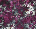 Quilter's Cotton Fabric - 17" x 18.5"