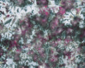 Quilter's Cotton Fabric - 17" x 18.5"
