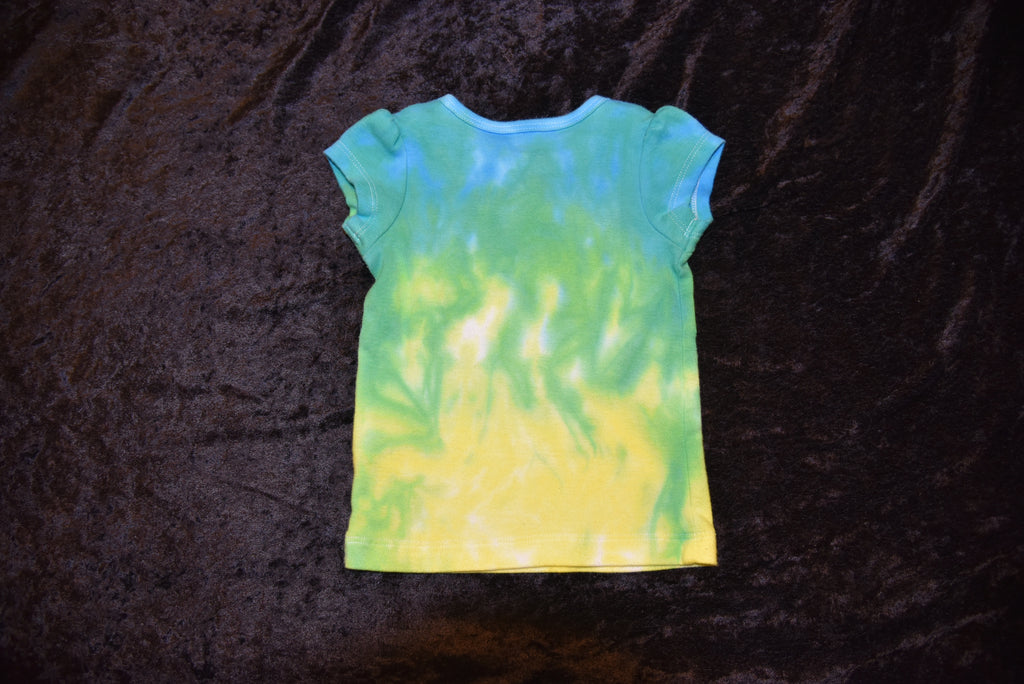 9mo. Gold Flower applique shirt - Blue, Green, Yellow