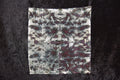 Flour Sack Towel